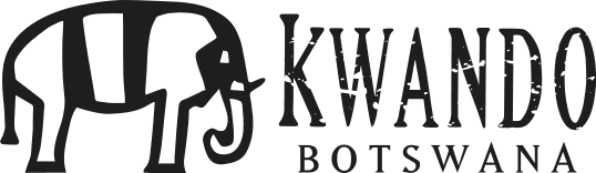 Merchant Logo